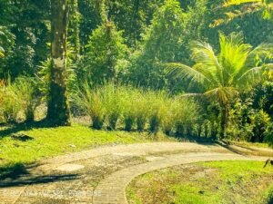 183815 (65) 3-Bed-House-For-Sale-In-Ojochal