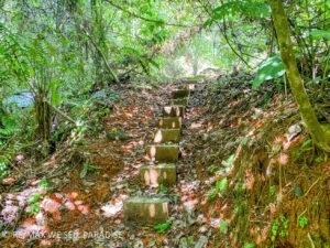 183815 (69) 3-Bed-House-For-Sale-In-Ojochal