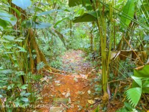 183815 (70) 3-Bed-House-For-Sale-In-Ojochal