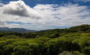 3_pool area and view_2