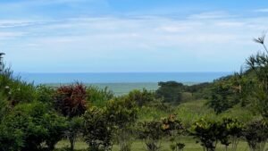 5523 – Tropical Turnkey Retreat in Gated Community_02