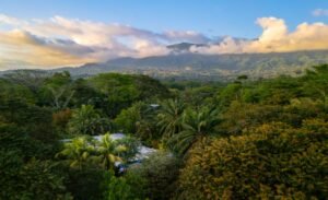 DJI_20240119165712_0016_D