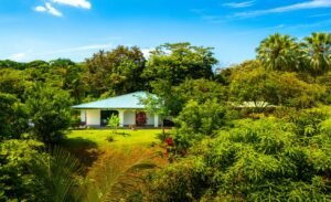 DJI_20250303103222_0087_D