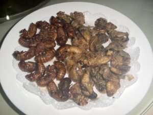 Deep-fried Cicadas in Shandong cuisine. c/o Hhaithait, wikicommons.