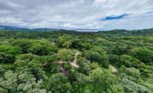 Cinco Ventanas Container & Land2