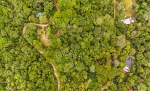 Cinco Ventanas Container & Land3