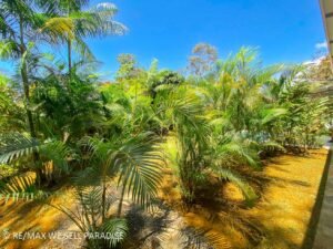 1 (36) House-for-sale-in-Uvita