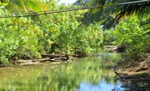 1 (49) Surrounded by nature -3