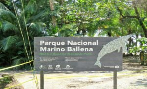 1 (52) Marino Ballena National Park