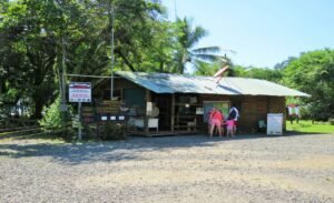 1 (54)Steps from Marino Ballena National Par