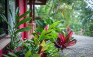 187810 – Two ocean view homes in Dominical -01 (2)