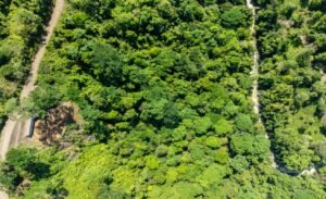 187870- Ocean view lot with riverfront in Uvita (11)