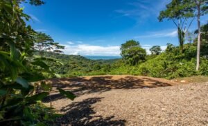 187870- Ocean view lot with riverfront in Uvita (12)