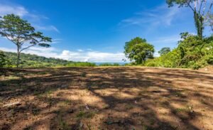 187870- Ocean view lot with riverfront in Uvita (13)