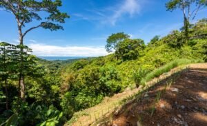 187870- Ocean view lot with riverfront in Uvita (14)