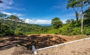 187870- Ocean view lot with riverfront in Uvita (15)