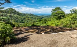 187870- Ocean view lot with riverfront in Uvita (16)