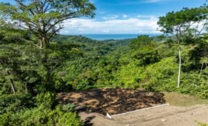 187870- Ocean view lot with riverfront in Uvita (18)