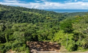 187870- Ocean view lot with riverfront in Uvita (19)