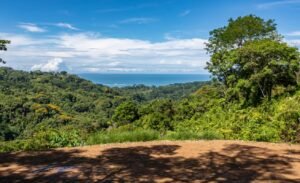 187870- Ocean view lot with riverfront in Uvita (21)