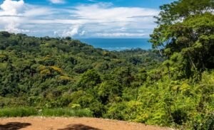 187870- Ocean view lot with riverfront in Uvita (22)