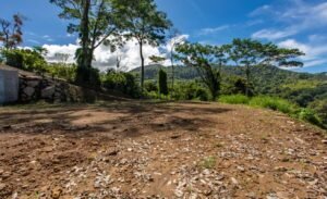 187870- Ocean view lot with riverfront in Uvita (3)