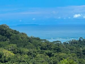 187870- Ocean view lot with riverfront in Uvita (5)
