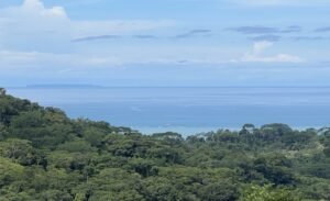 187870- Ocean view lot with riverfront in Uvita (6)