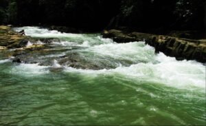 187870- Ocean view lot with riverfront in Uvita (7)