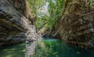 187870- Ocean view lot with riverfront in Uvita (8)