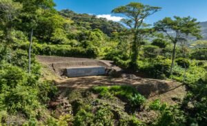 187870- Ocean view lot with riverfront in Uvita (9)