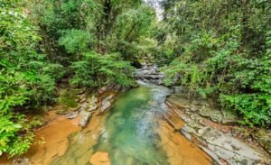187895- Two homes near ojochal costa Rica (20)