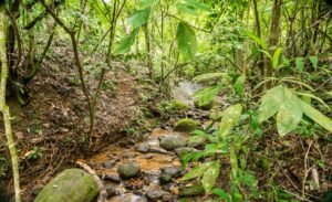 187895- Two homes near ojochal costa Rica (33)