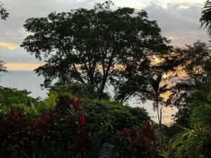 Two Ocean View Homes in Exclusive Marina Vista, Escaleras (15)