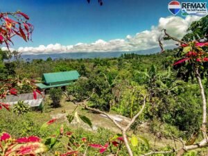 0 House-for-sale-in-costa-rica