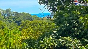 0.59-Acres-of-Land-for-sale-in-OJOCHAL-Costa-Rica 18 (14)