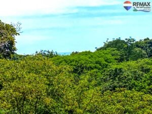 0.59-Acres-of-Land-for-sale-in-OJOCHAL-Costa-Rica 18 (9)