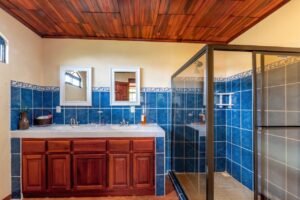 188403 House in Tinamaste near to Dominical (16)