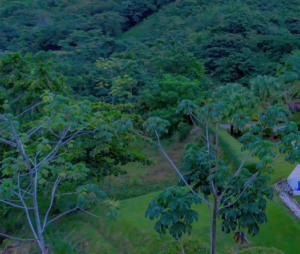 18851- 1.58-Acre Lot in Ojochal 01 (2)