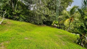 188524- Two houses phase 559 (35)