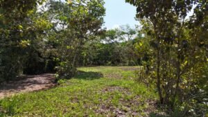 188755 – OCEAN VIEW PROPERTY WITH BUILDING SITES AND LEGAL WATER IN HATILLO DOMINICAL CR (10)