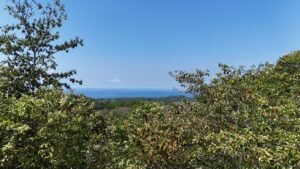 188755 – OCEAN VIEW PROPERTY WITH BUILDING SITES AND LEGAL WATER IN HATILLO DOMINICAL CR (11)