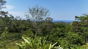 188755 – OCEAN VIEW PROPERTY WITH BUILDING SITES AND LEGAL WATER IN HATILLO DOMINICAL CR (13)