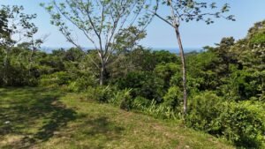 188755 – OCEAN VIEW PROPERTY WITH BUILDING SITES AND LEGAL WATER IN HATILLO DOMINICAL CR (14)