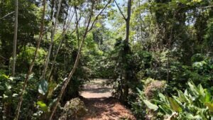 188755 – OCEAN VIEW PROPERTY WITH BUILDING SITES AND LEGAL WATER IN HATILLO DOMINICAL CR (15)