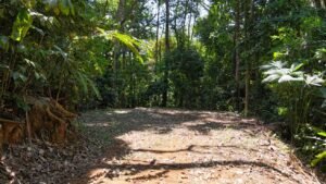 188755 – OCEAN VIEW PROPERTY WITH BUILDING SITES AND LEGAL WATER IN HATILLO DOMINICAL CR (16)