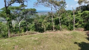188755 – OCEAN VIEW PROPERTY WITH BUILDING SITES AND LEGAL WATER IN HATILLO DOMINICAL CR (17)