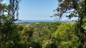 188755 – OCEAN VIEW PROPERTY WITH BUILDING SITES AND LEGAL WATER IN HATILLO DOMINICAL CR (18)