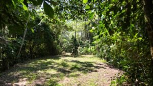 188755 – OCEAN VIEW PROPERTY WITH BUILDING SITES AND LEGAL WATER IN HATILLO DOMINICAL CR (21)