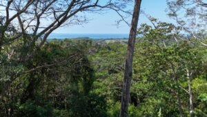 188755 – OCEAN VIEW PROPERTY WITH BUILDING SITES AND LEGAL WATER IN HATILLO DOMINICAL CR (22)